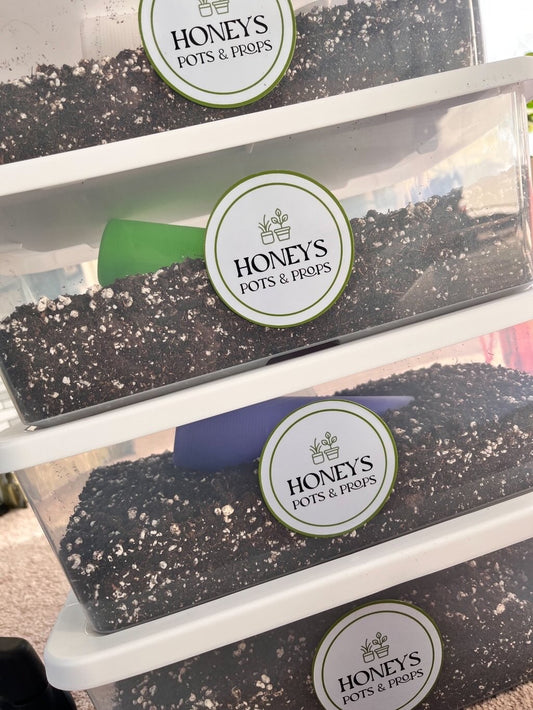 🌿 Plant Therapy Workshop