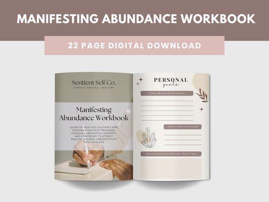 Manifesting Abundance E-Workbook