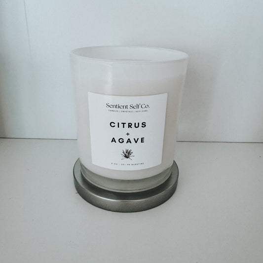 Citrus + Agave Candle