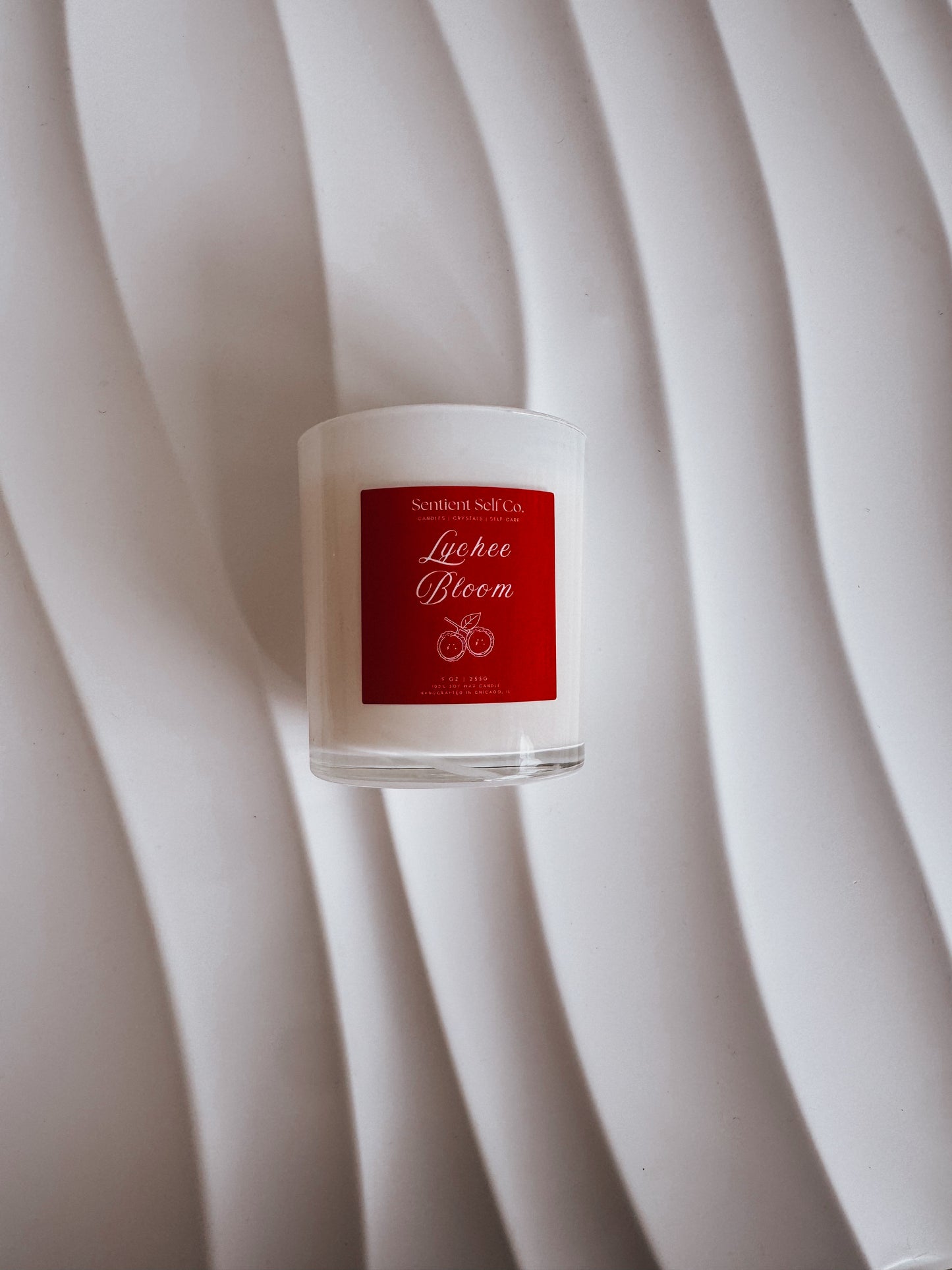 Valentine's Love Day Collection