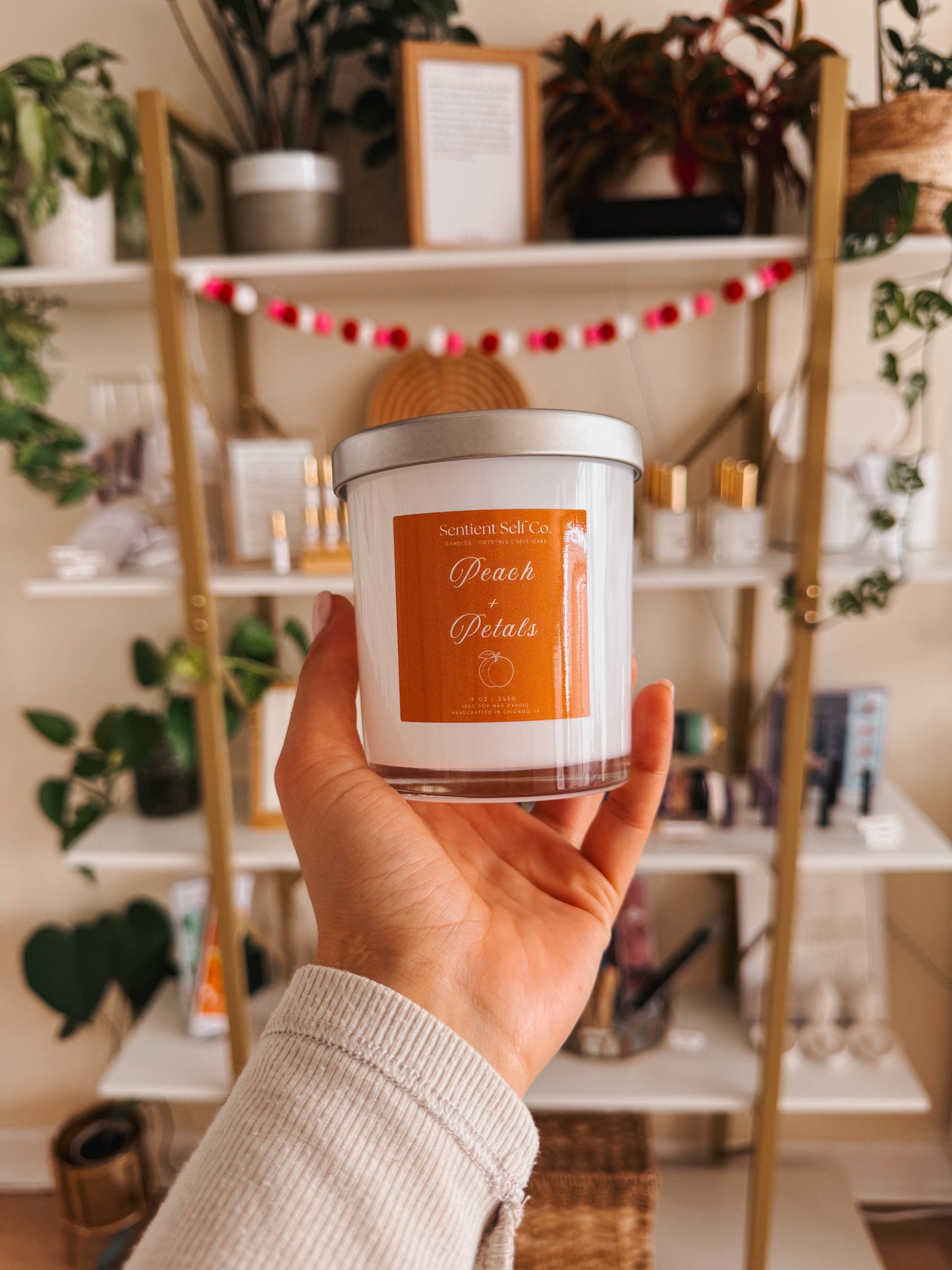 Valentine's Love Day Collection