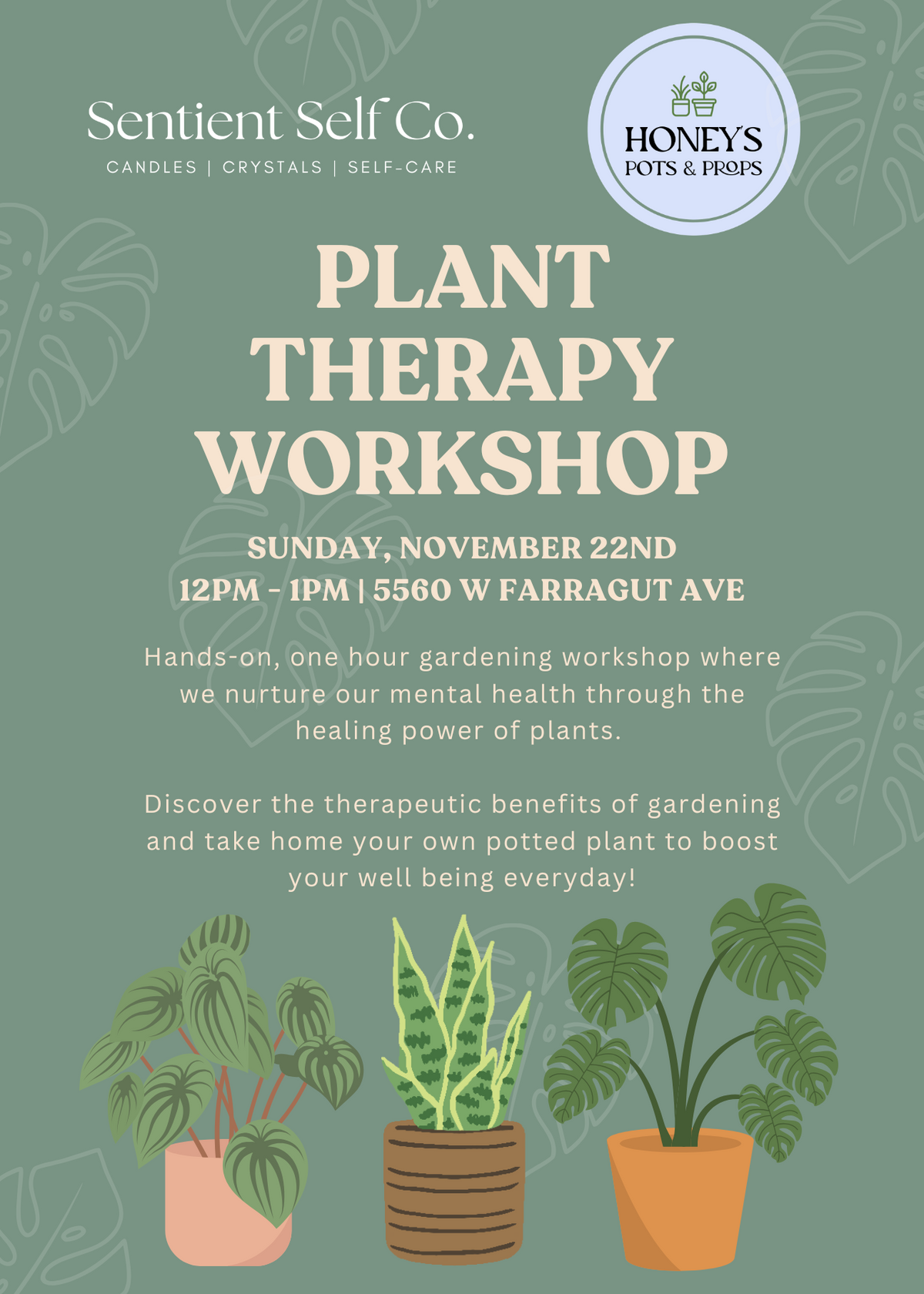 11/22 🌿 Plant Therapy Workshop | Guided Gardening Workshop