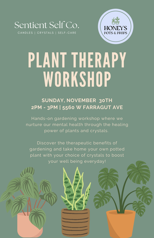 🌿 Plant Therapy Workshop
