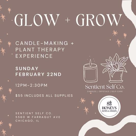 Glow + Grow: An Intention Candle + Plant Therapy Workshop