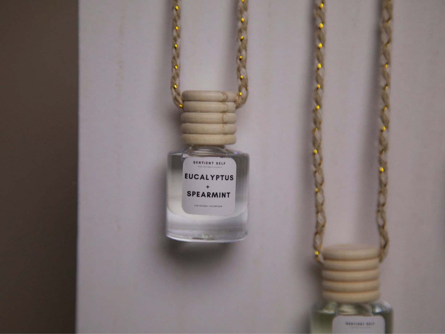 Car Diffuser | Car Air Freshener