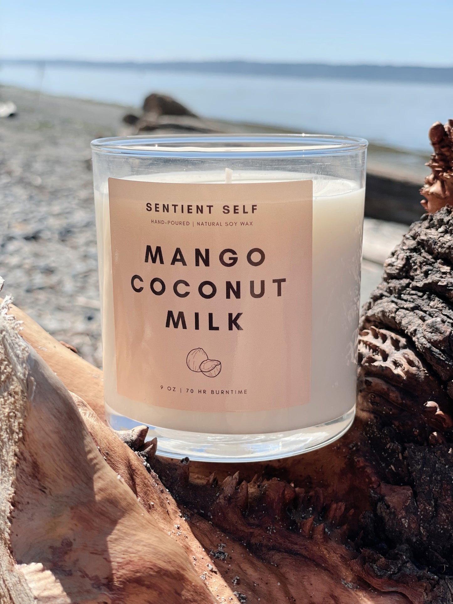 Mango Coconut Milk Candle